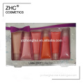 ZH2910 Lipgloss makeup gift kit lipgloss in soft tube with your own logo